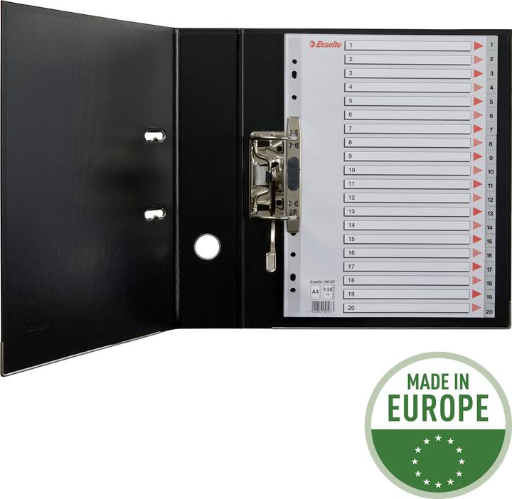 Image du produit Esselte Registre en plastique