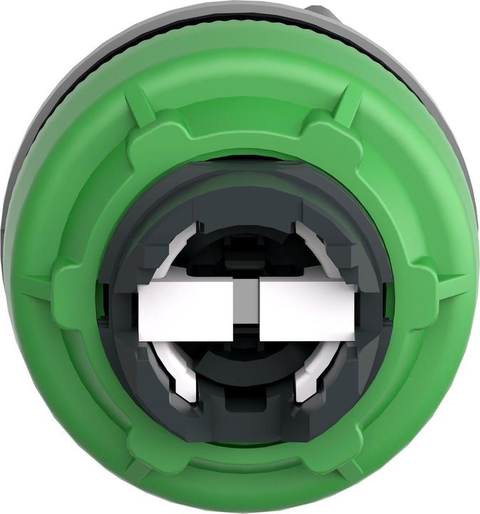Actual product image Schneider Electric Key switch, front, plastic, 2- ZB5FG6C0
