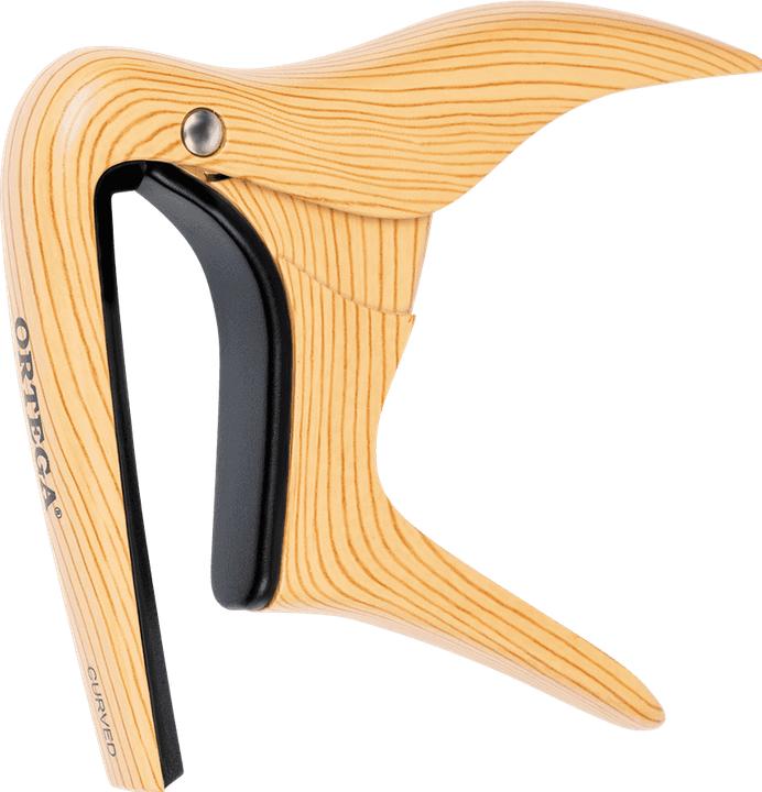 Design érable
