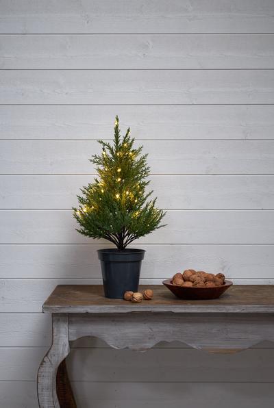 Actual product image Star Trading Candlestick Anno