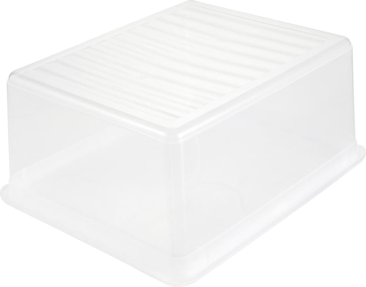 keeeper Box (33.5 x 39 x 18 cm, 18 l)