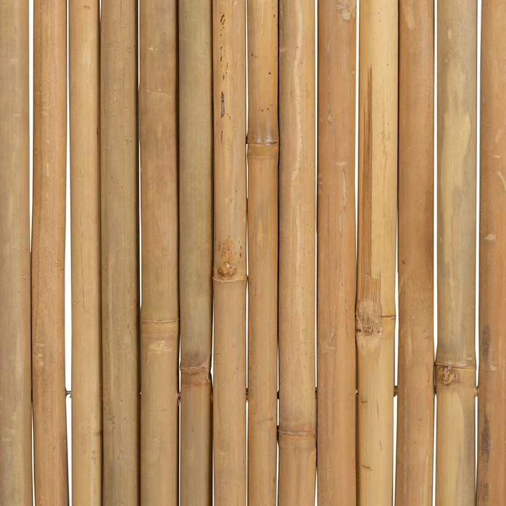 Produktbild vidaXL Bambus Zaunfeld