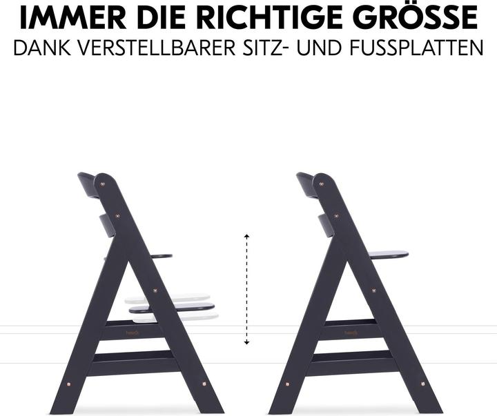 Actual product image Hauck Alpha Newborn Set Plus (Highchair)