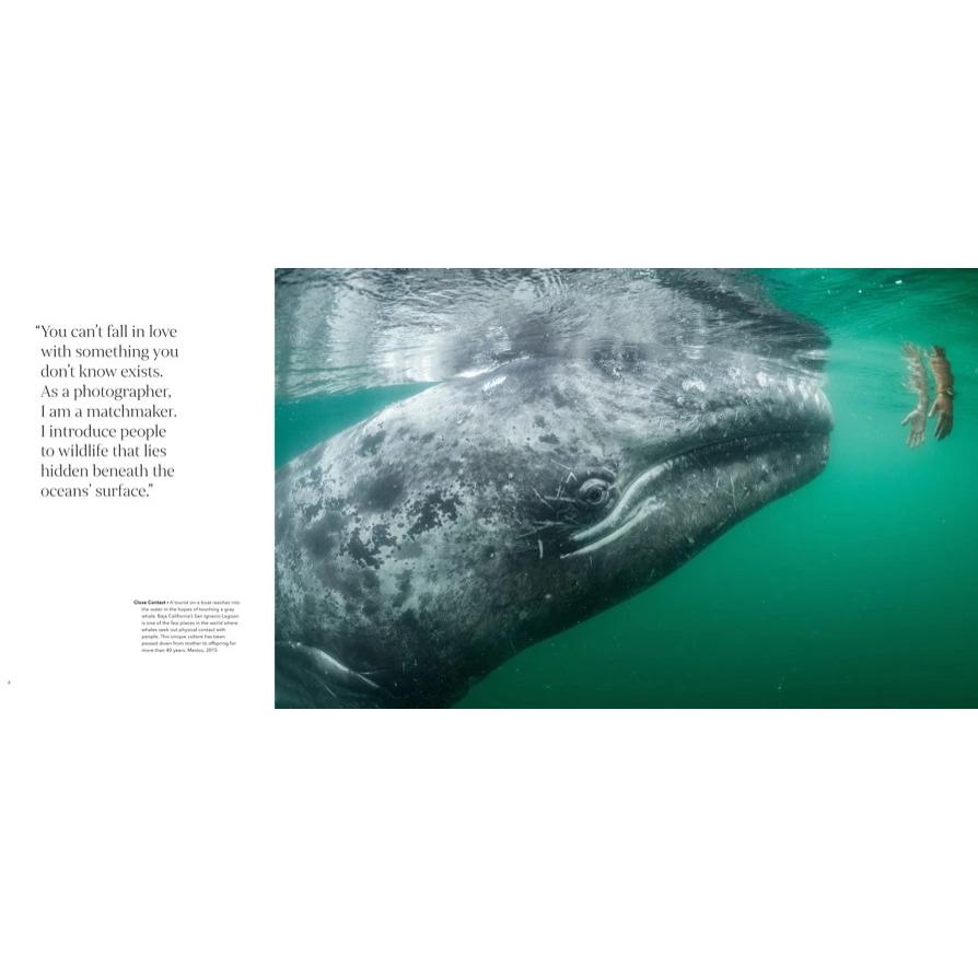 Thumbnail - Wild Seas, Ratgeber von Thomas Peschak