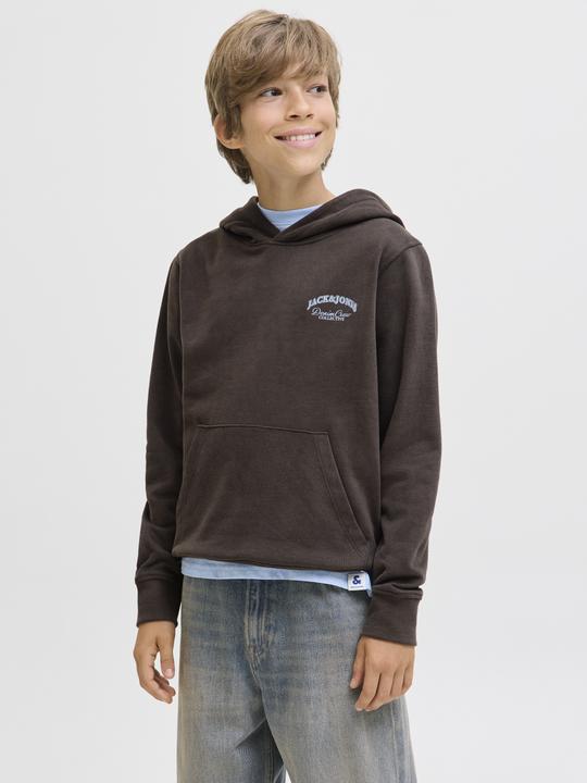 Produktbild Jack & Jones Jjebrandes Backp Relaxed Sweat H Sn Jnr (176)