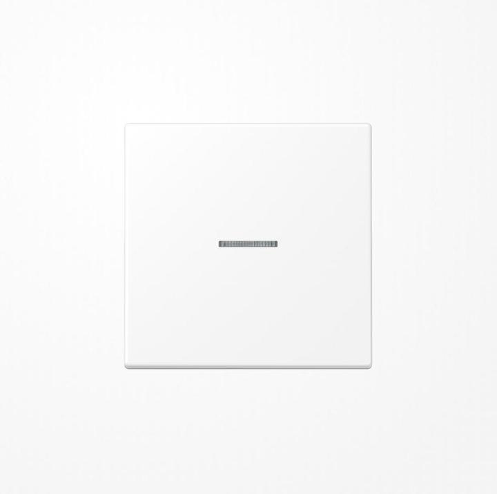 Image du produit JUNG BTLS17101WWM HOME Bouton-poussoir simple