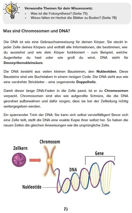 Produktbild Nagel:Allgemeinwissen für Teenager - Al (Deutsch, Marius Nagel, 2024)