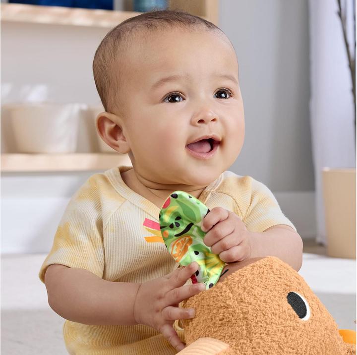Productafbeelding Fisher-Price Kuschel-Capybara (23.50 cm)