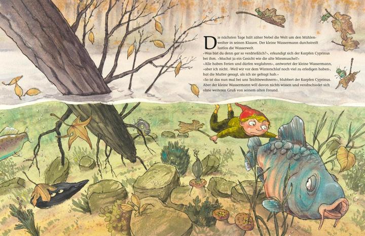 Image du produit Der kleine Wassermann. Herbst im Mühlenweiher (Allemand, Daniel Napp, Otfried Preussler, Regine Stigloher, 2014)