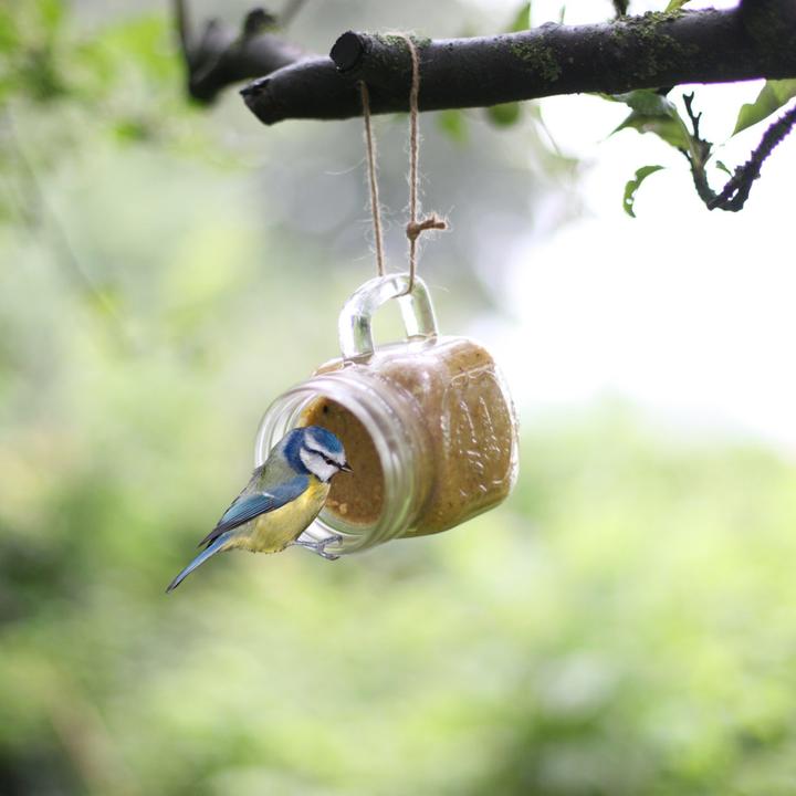 Produktbild Best for Birds FB830 (1 x, 0.57 kg)