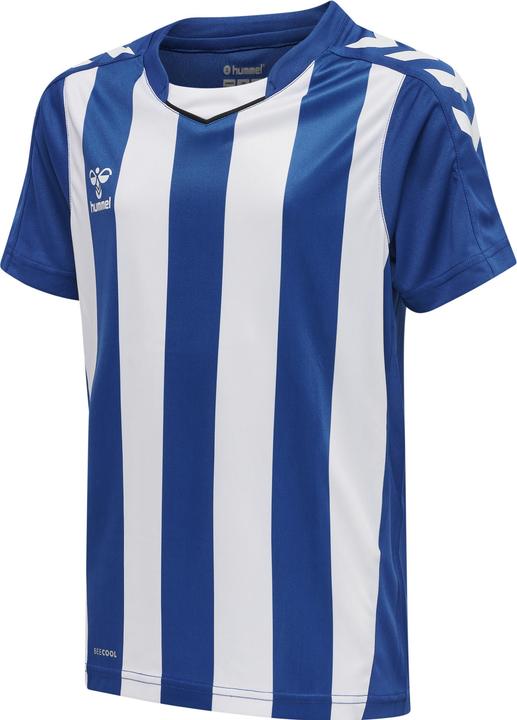 truebluewhite