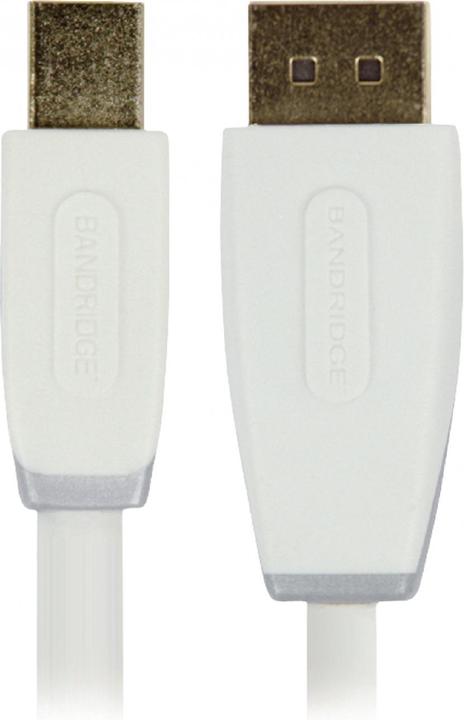 Image du produit Bandridge BBM37400W10 (1 m)