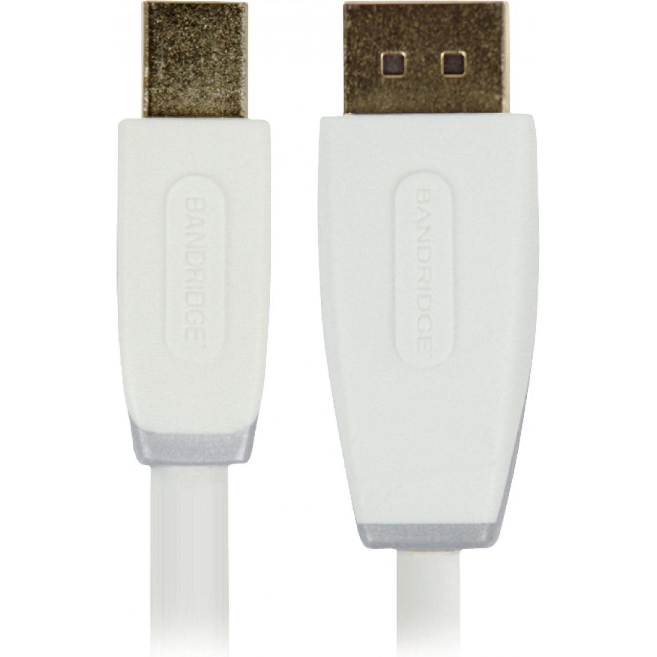 Bandridge BBM37400W10 (1 m, DisplayPort), Video Kabel