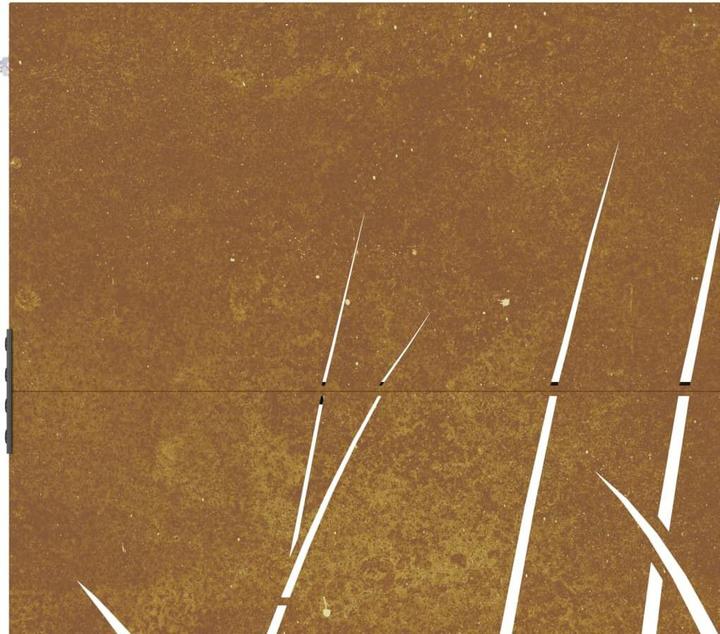 Produktbild vidaXL Gartentor