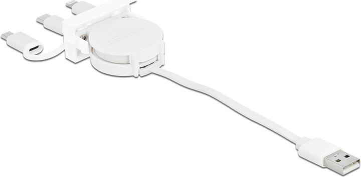 Produktbild Delock 3in1 (0.50 m, USB 2.0)