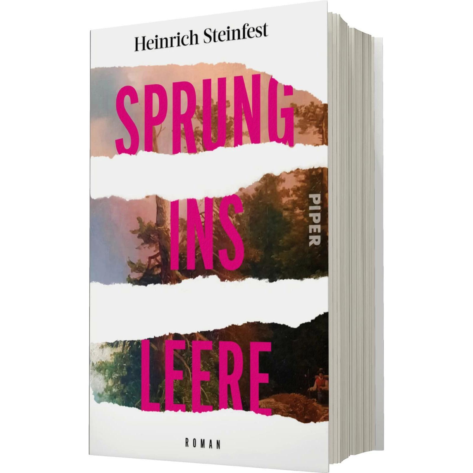 Sprung ins Leere, Belletristik von Heinrich Steinfest