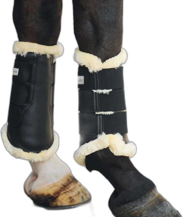 Produktbild Kavalkade Show