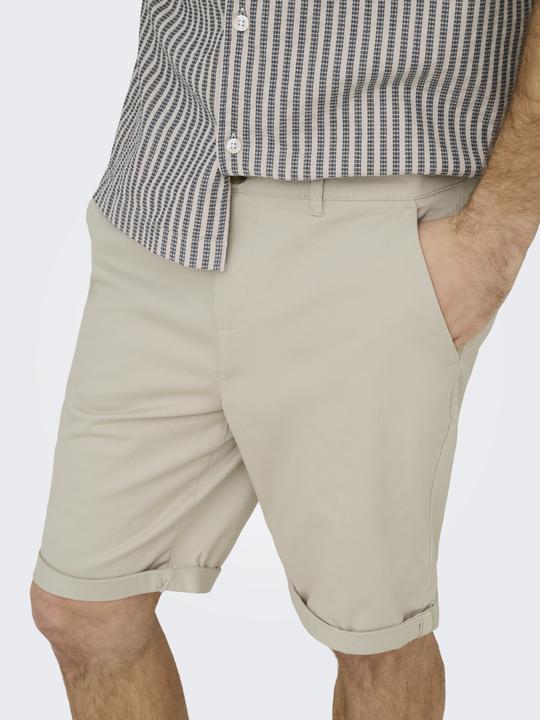 Image du produit Only & Sons ONSSAUL 0573 SHORTS NOOS (S)