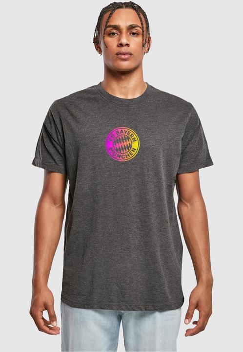 Image du produit FC Bayern München Logo PY T-shirt col rond - 115775 (3XL)