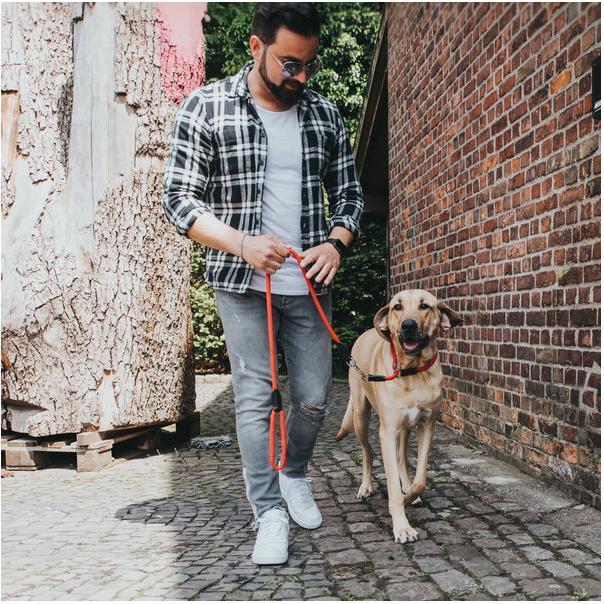 Actual product image Hunter Dressage neck freestyle (10, Dog, General)