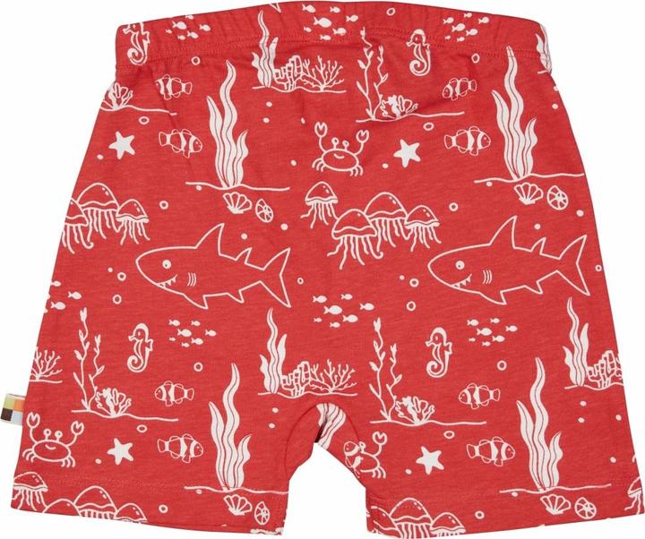 Actual product image loud + proud Short pressure (80)