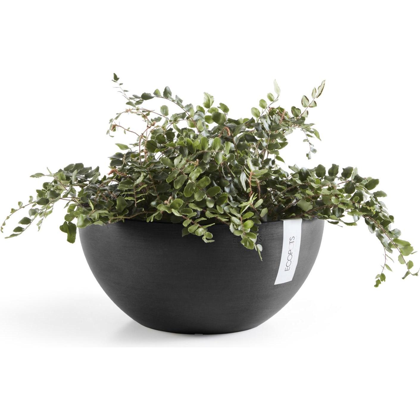 Thumbnail - Ecopots, Blumentopf, Brussels (25 cm)