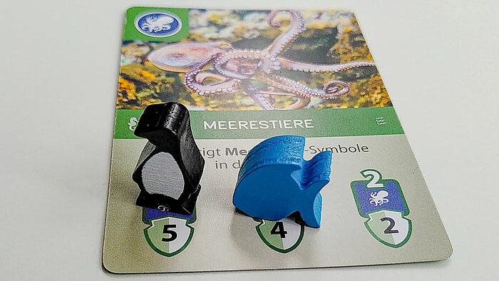 Produktbild Feuerland Arche Nova: Wasserwelten (Deutsch)