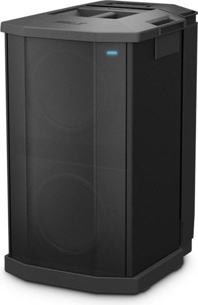 Bose F1 Subwoofer (1 pcs., 1000 W)