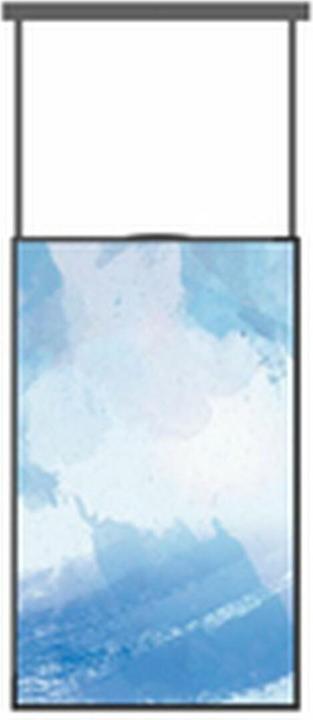 Dahua DS Indoor-Pro haute luminosité DHI-LDH55-WAI200L'. (1920 x 1080 pixels, 55")