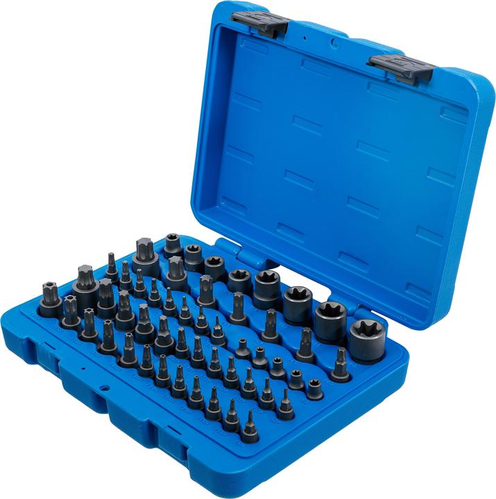 Actual product image BGS Bit-Einsatz- und Steckschlüssel-Einsatz-Satz (TP40- TP45 - TP50 - TP55, TP profile (for Torx Plus) TP8 - TP10 - TP15 - TP20 - TP25 - TP27 - TP30, TP60, T-profile (for Torx) T8 - T10 - T15 - T20 - T25 - T27 - T30, E-profile (for Torx) E4 - E5 - E6 - E7 - E8, T70, E18 - E20 - E22 - E24, T60, E10 - E12 - E14 - E16)