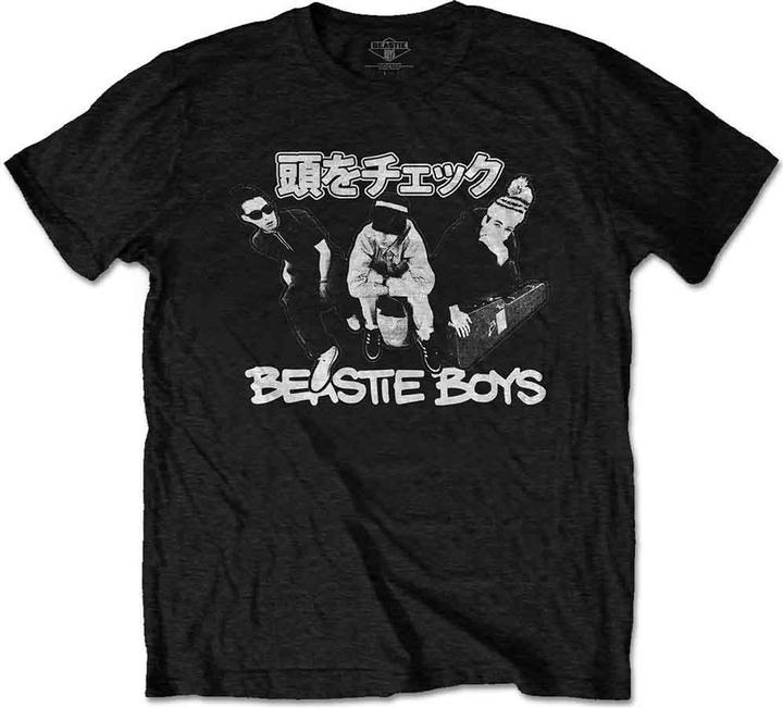 The  Beastie Boys Check Your Head Japanese