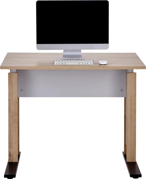 Image du produit Lipo Bureau K9 (100 x 80 x 71.50 cm)