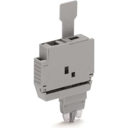 Wago SicherungsSteck. Lasche 2004-911 f.G-Sicherungseinsatz 5x20mm 6,1mm (Stecker und Verbinder), Kabel Zubehör, Grau