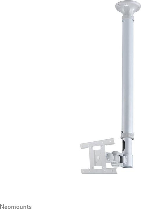 Actual product image Neomounts Fpma-C100 (Ceiling, 30", 12 kg)