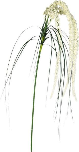 DPI Amaranthus branch - approx. 70 cm