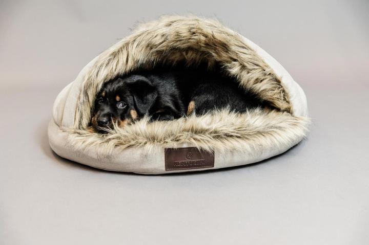 Immagine prodotto Kentucky Dogwear Cane letto Igloo (Cane)
