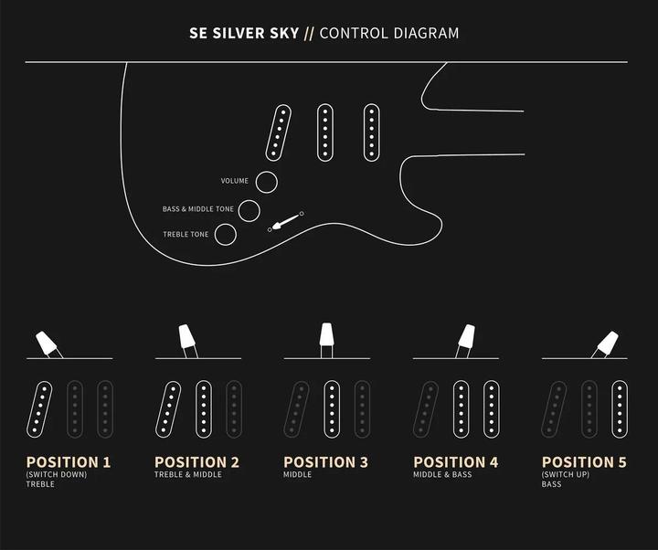 Produktbild PRS SE Silver Sky (E-Gitarre, Pappel, Ahorn)