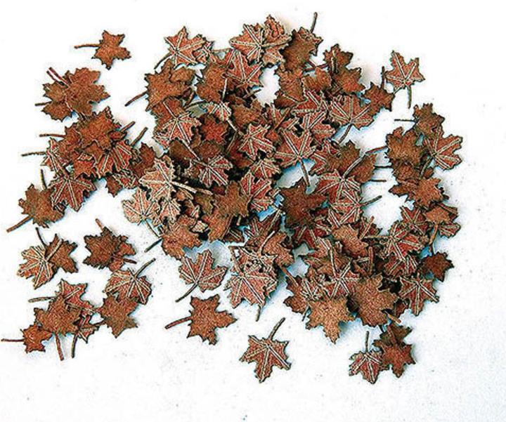 Image du produit Plus Model Feuilles de châtaignier