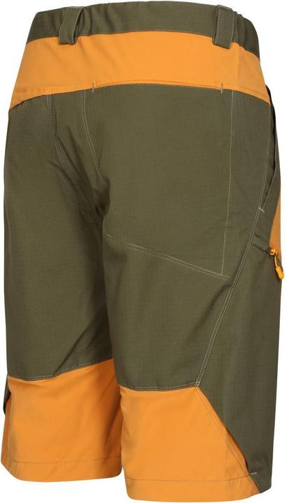 Produktbild Directalpine Fremont Shorts 1.0, Kurze Hose, Herren (Regular Fit) - Direct Alpine, 200 (M)