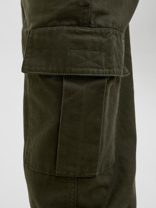 Actual product image Jack & Jones Loose Fit Cargo-Hose Cargo-Hose (W34/L32)