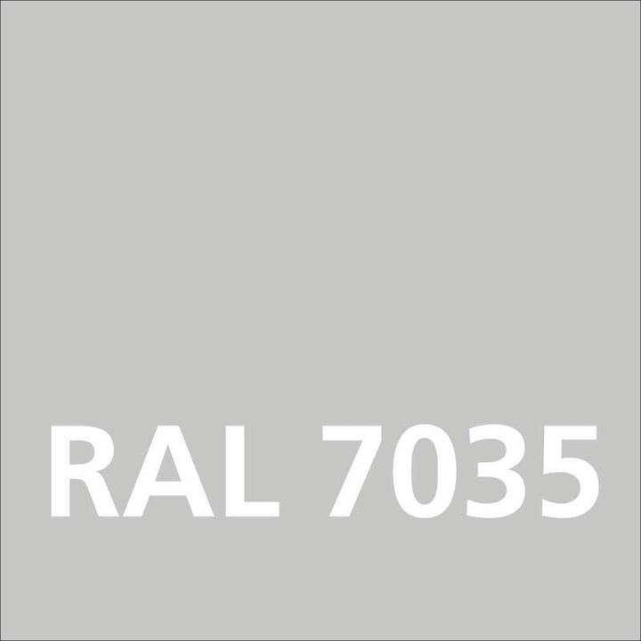 Produktbild Dupli-Color NEXT RAL 7035 Lichtgrau glänzend (Lichtgrau)