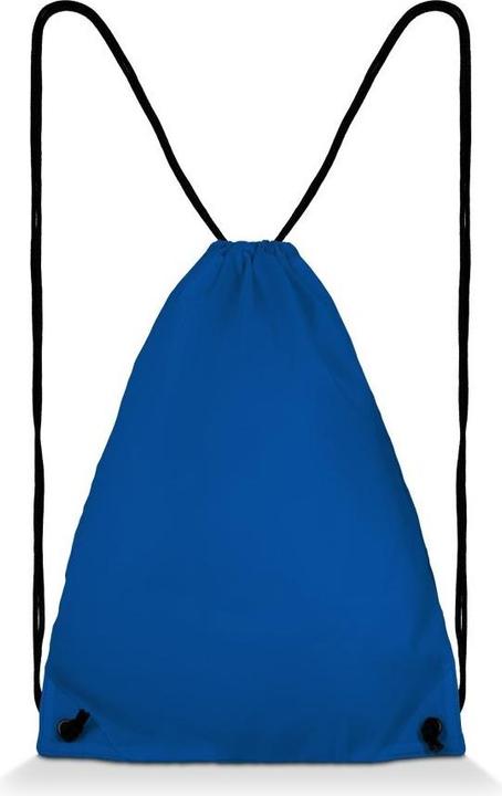 Actual product image Payper Play (12 l)