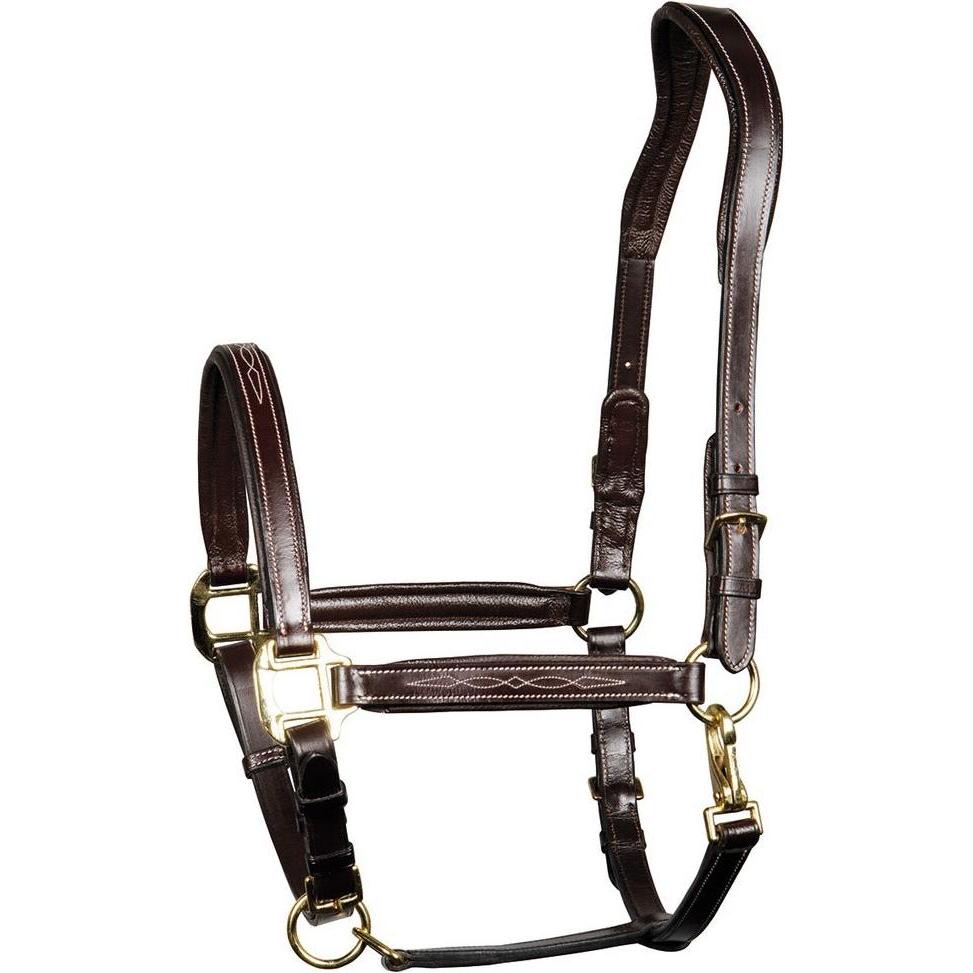 Harry's Horse, Halfter