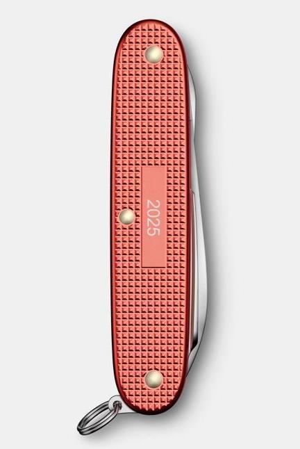 Produktbild Victorinox Pioneer X