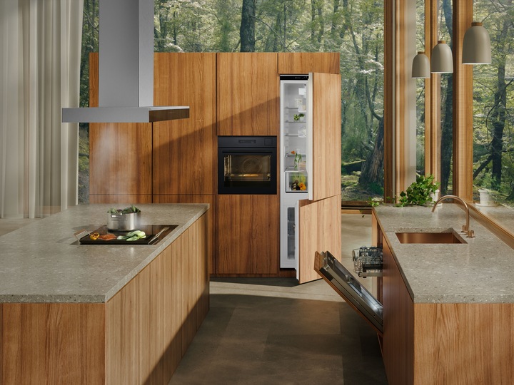 Actual product image Electrolux IK2581BNR (245 l)
