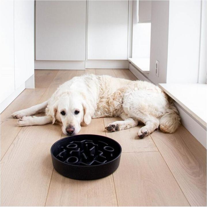 Actual product image District 70 Slow feeder (120 cl)