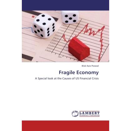 Fragile Economy, Fachbücher