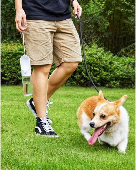 Produktbild Petkit One-Touch