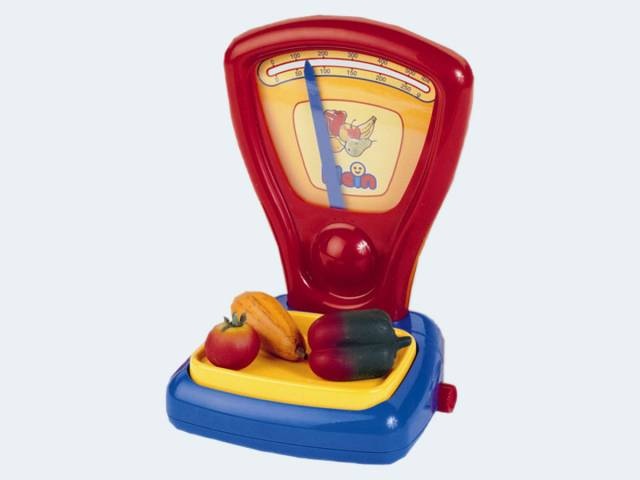 Actual product image Theo Klein Pointer scale