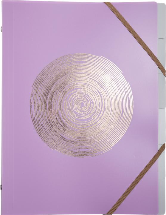 Exacompta Fächermappe Set Ellipse (A4)